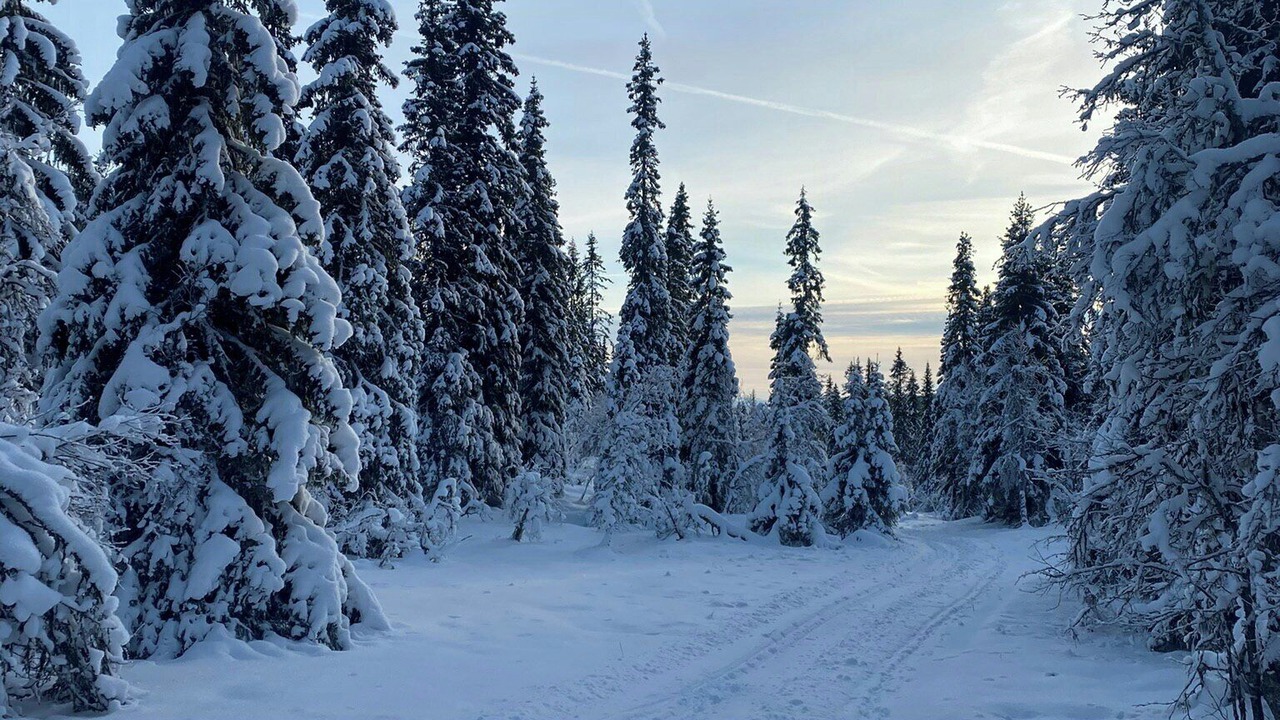 Photo of Others in Trysil