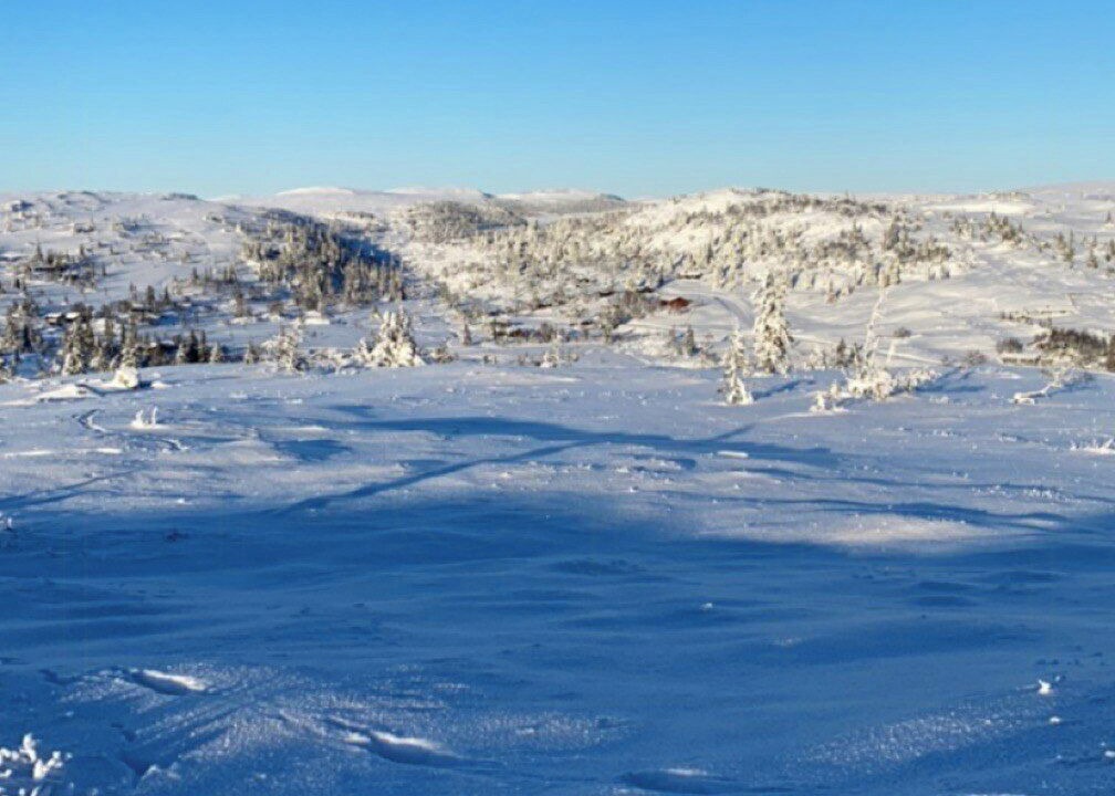 Photo of Others in Trysil