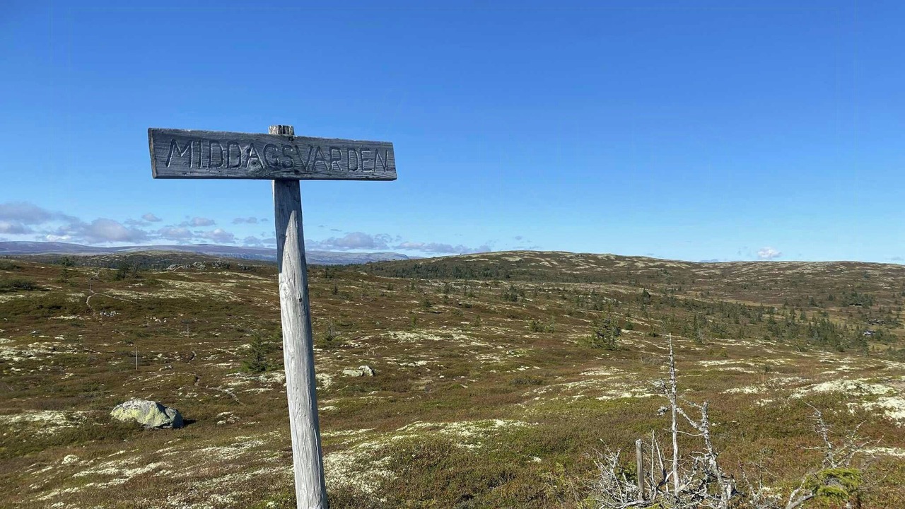 Photo of Others in Trysil