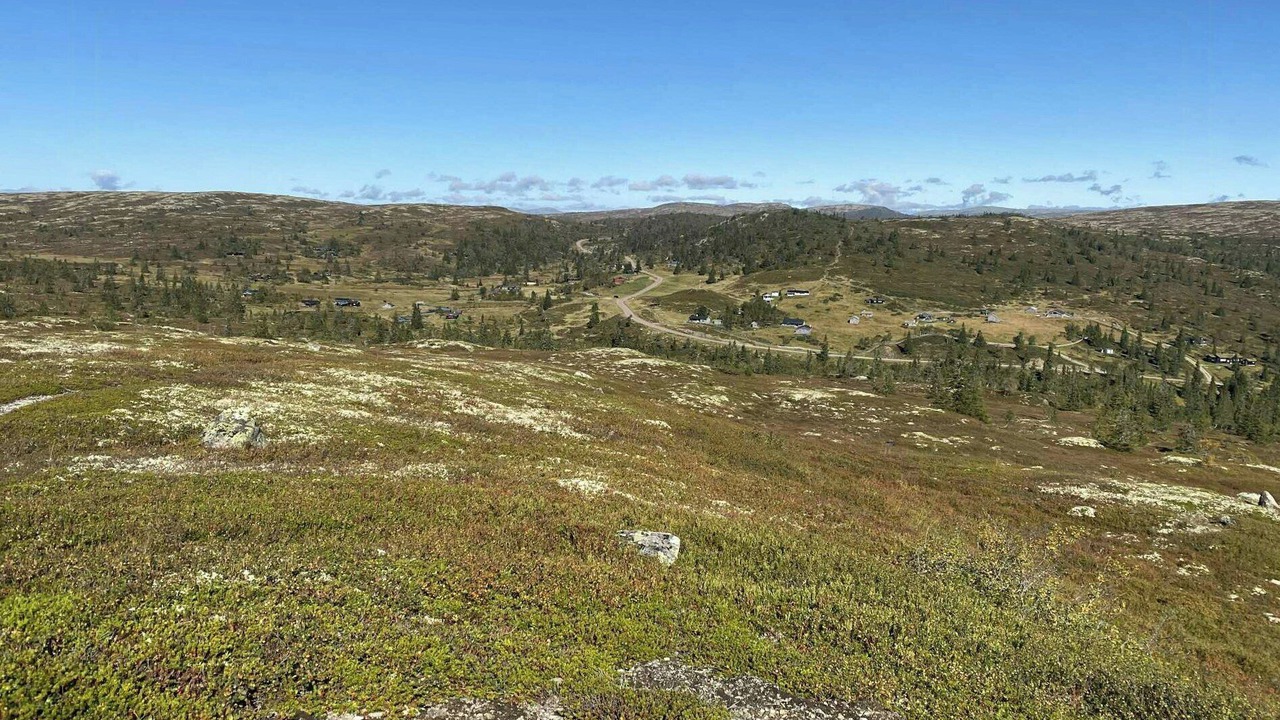 Photo of Others in Trysil