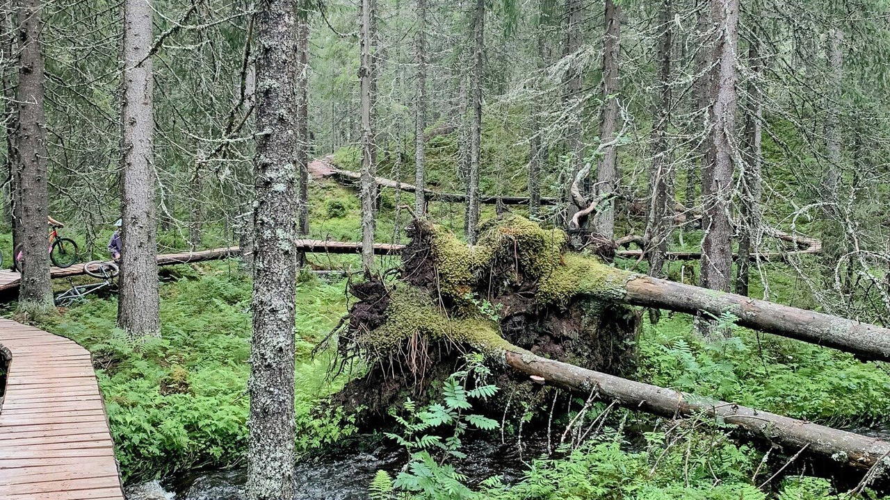 Photo of Others in Stoten