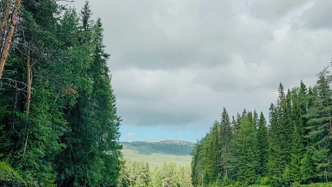 Photo of Others in Stoten