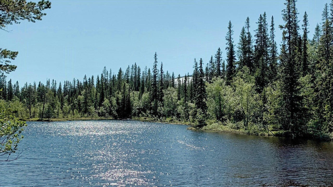 Photo of Others in Stoten