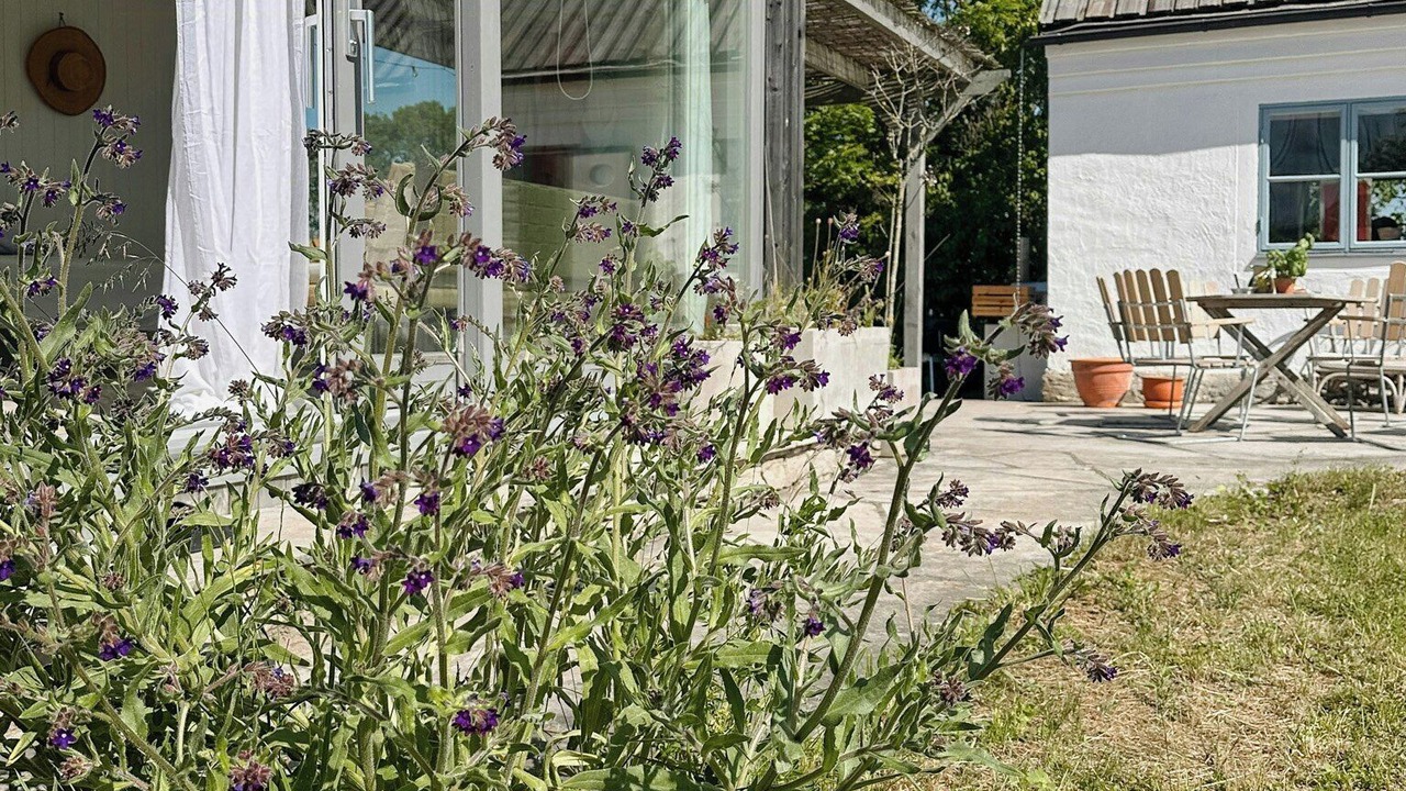 Photo of Outdoor in Tingstade