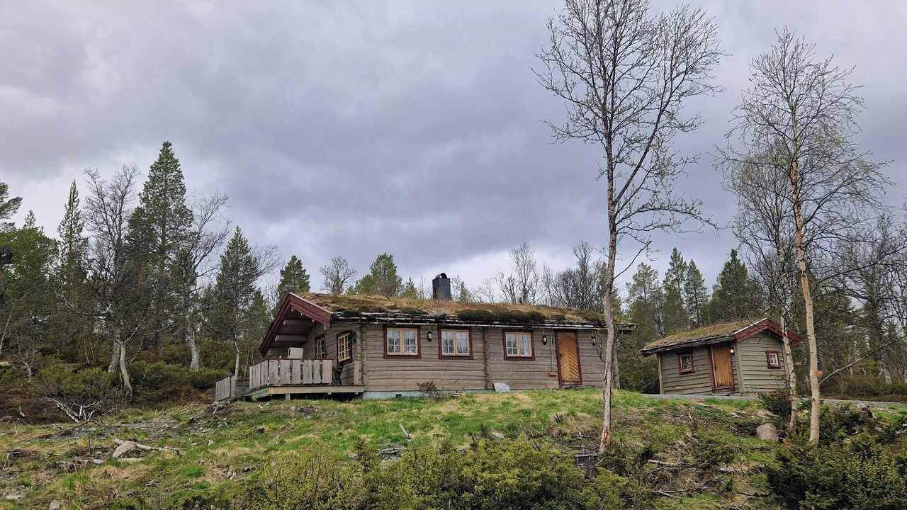 Photo of Outdoor in Galaa