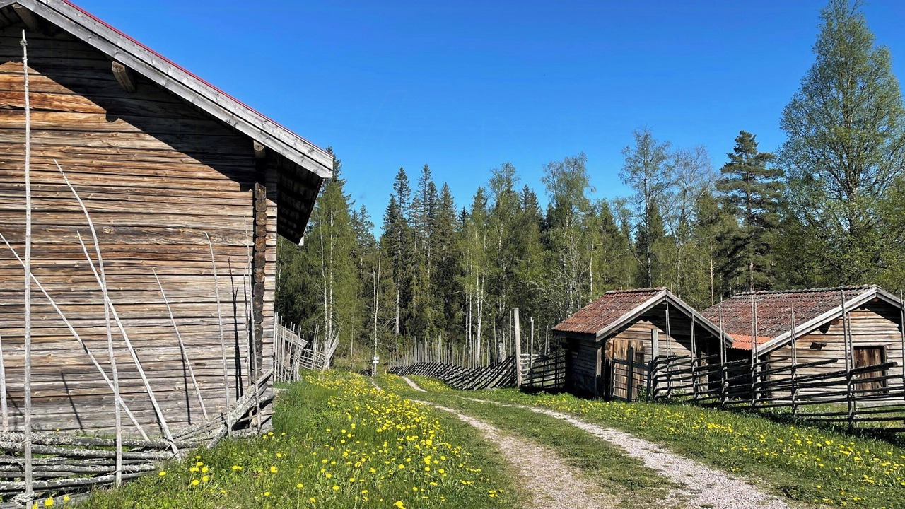 Photo of Others in Leksand Municipality