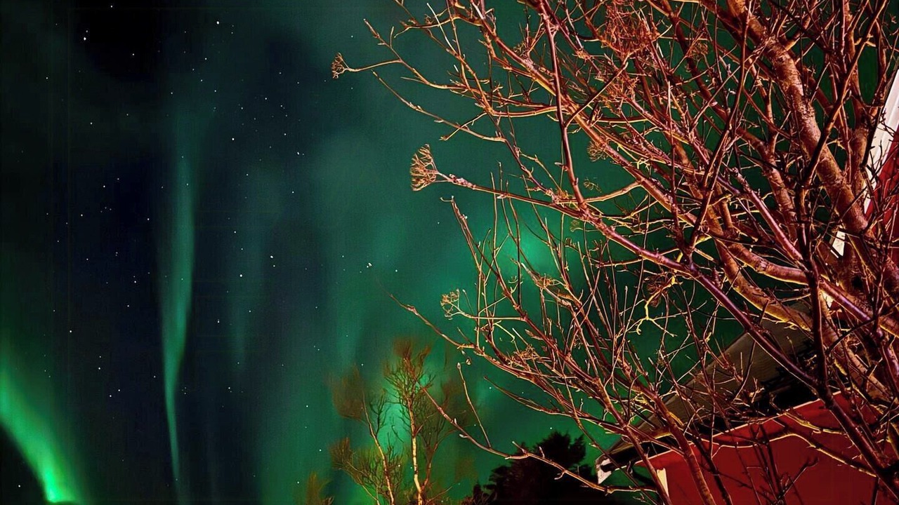 Photo of Others in Laukvik