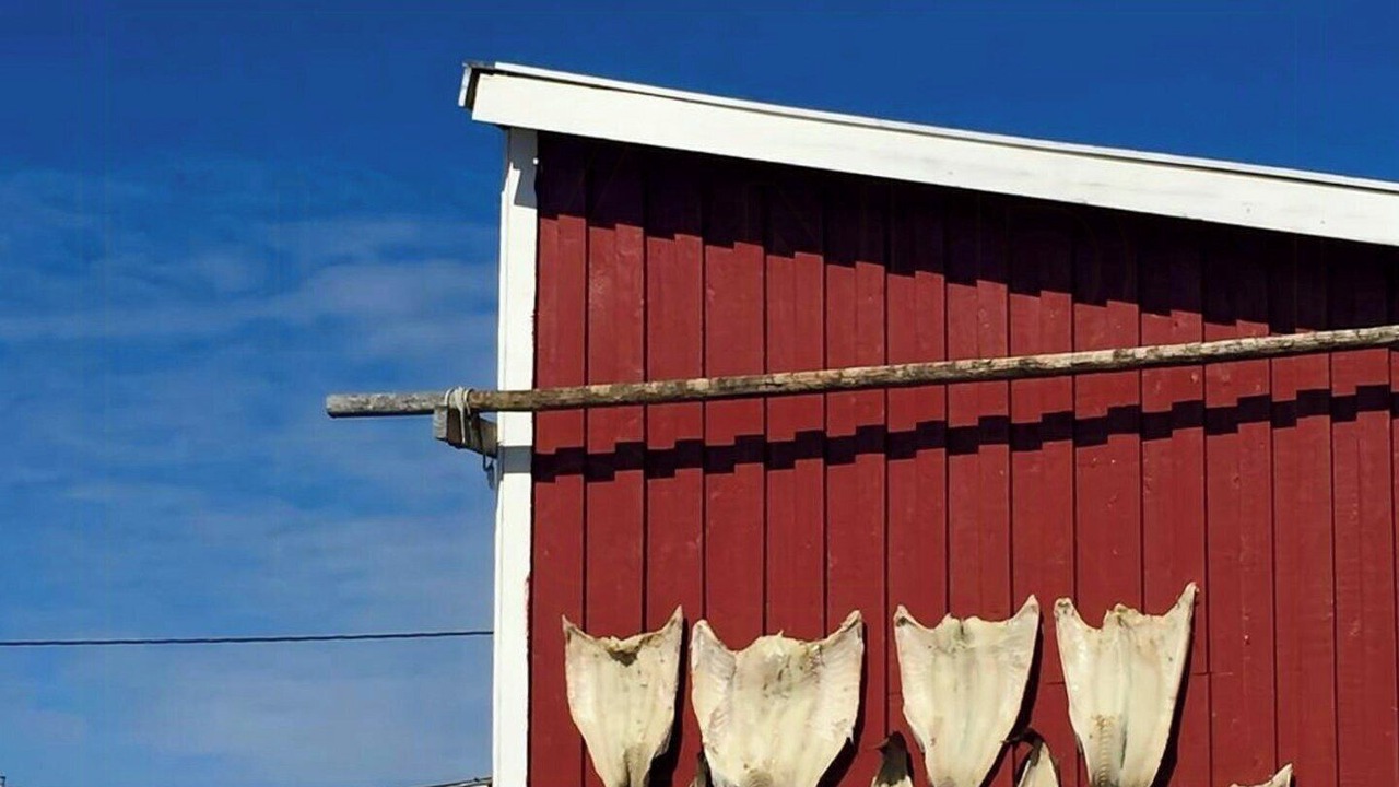 Photo of Others in Laukvik