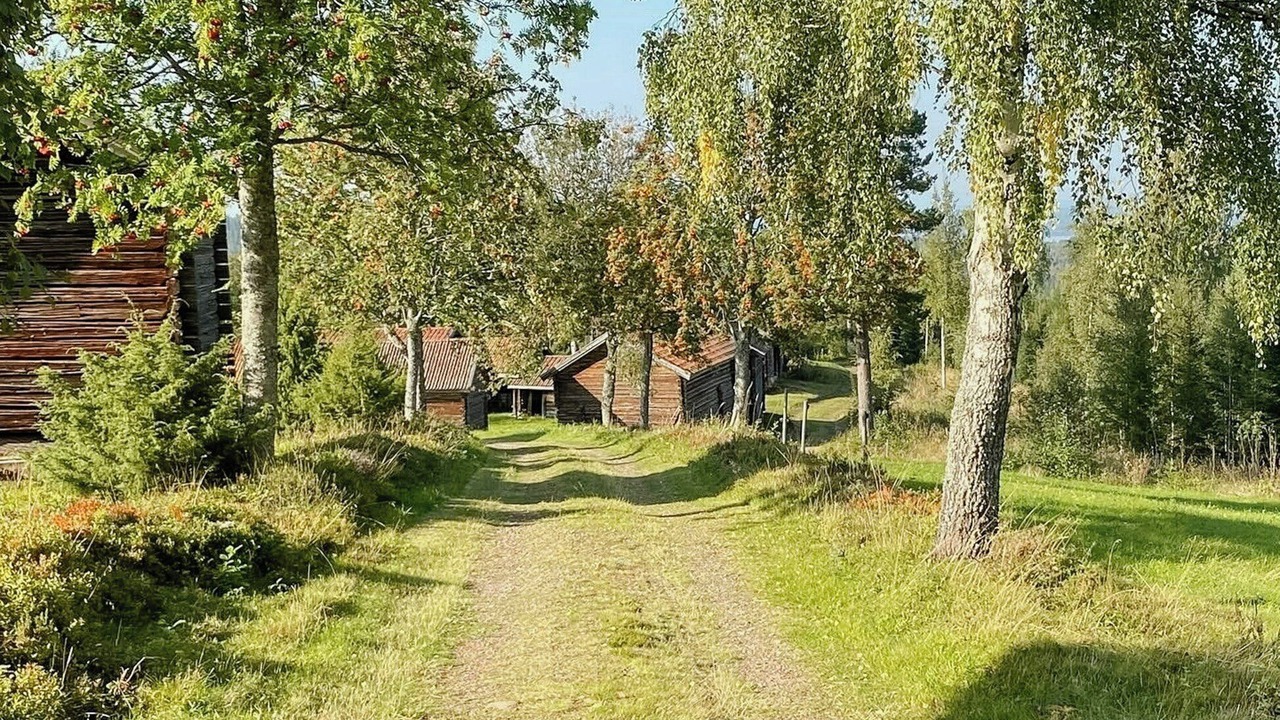 Photo of Outdoor in Solleron