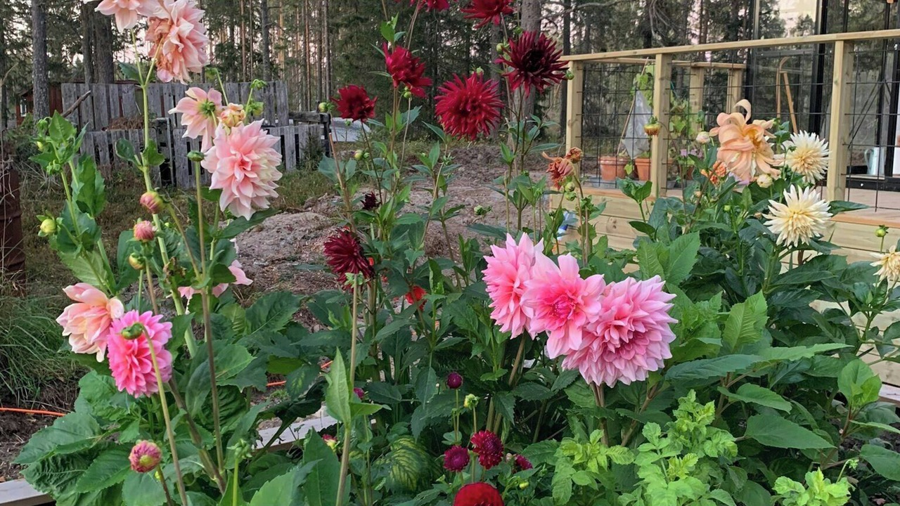 Photo of Outdoor in Umea Municipality