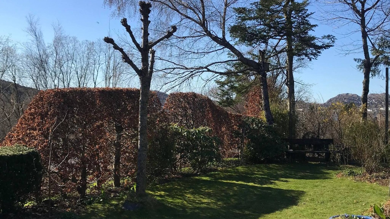 Photo of Outdoor in Algard