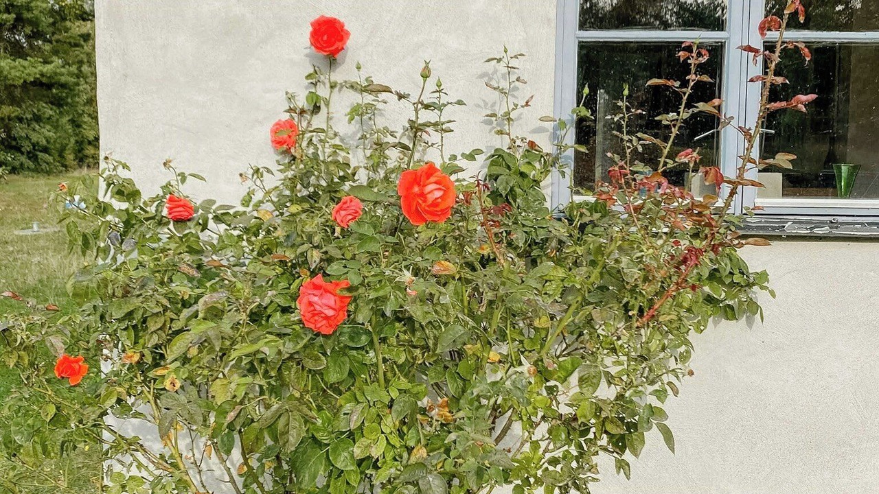 Photo of Outdoor in Faro