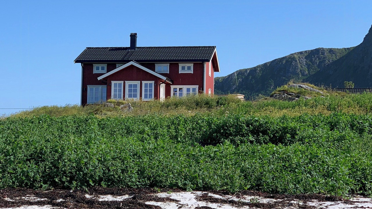 Photo of Outdoor in Lofoten Islands