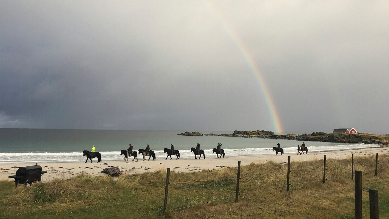 Photo of Others in Lofoten Islands