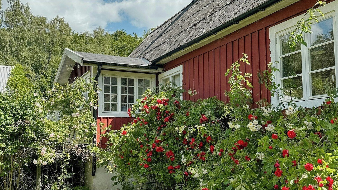 Photo of Outdoor in Falkvik