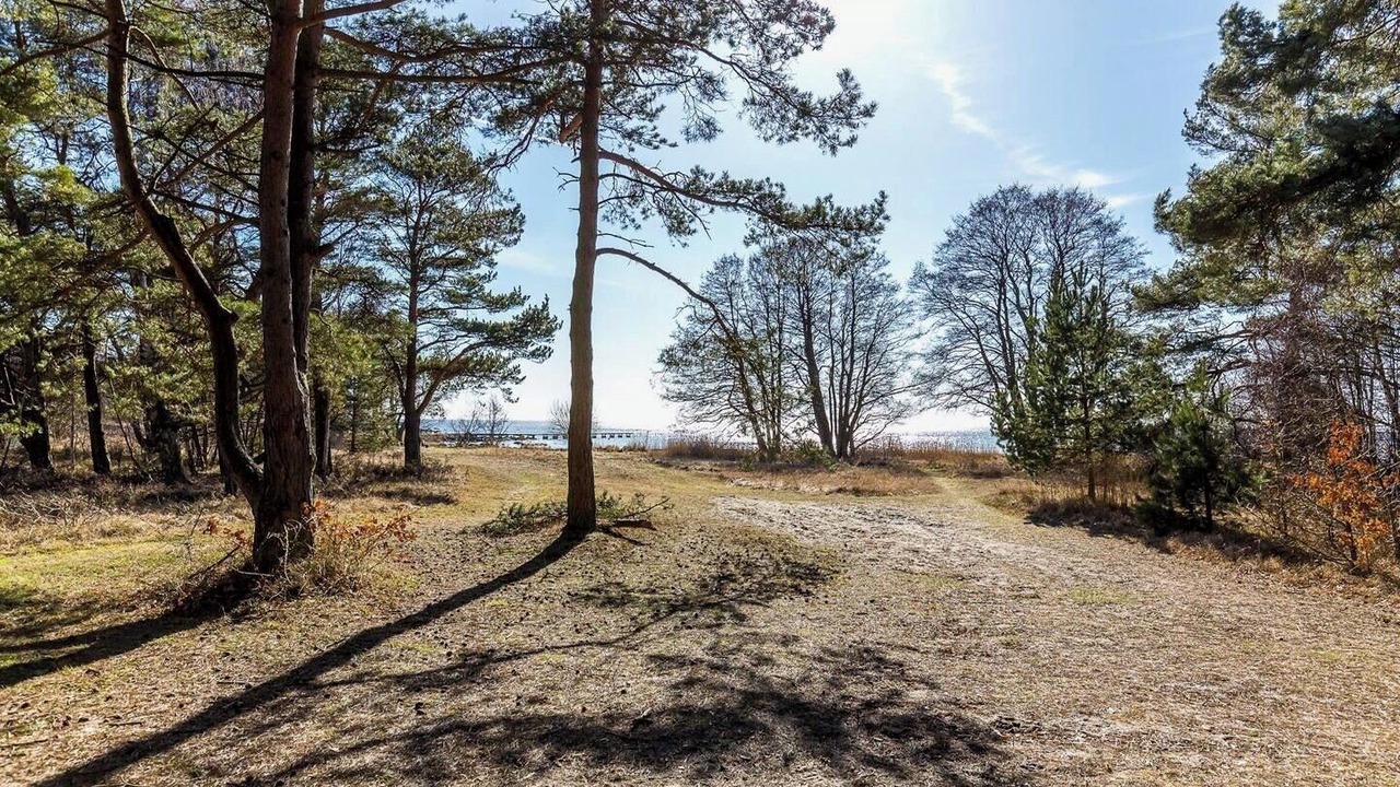Photo of Others in Falkvik