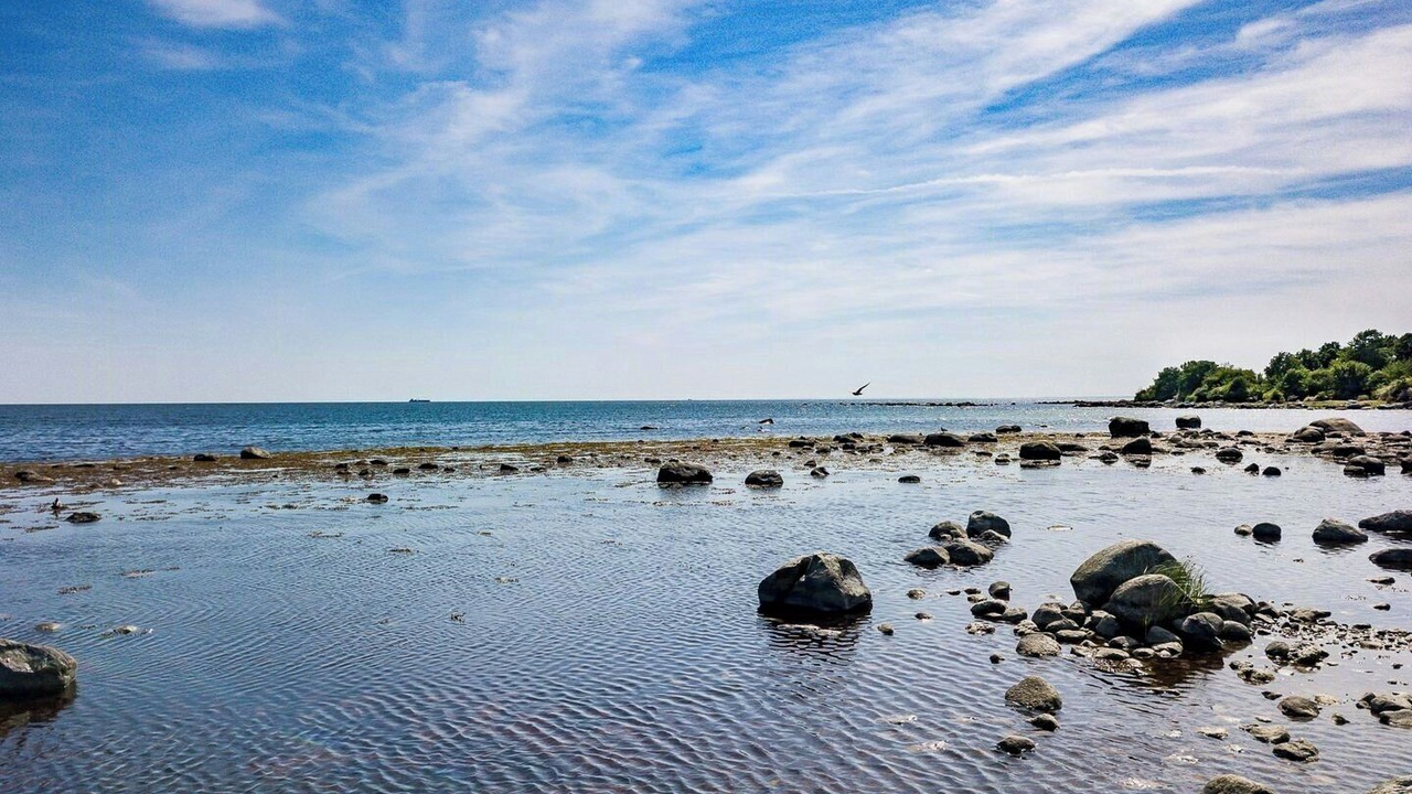 Photo of Others in Falkvik