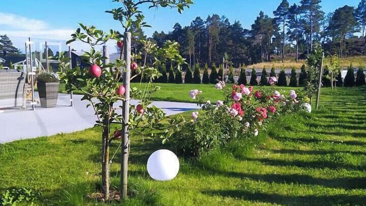 Photo of Outdoor in Arendal