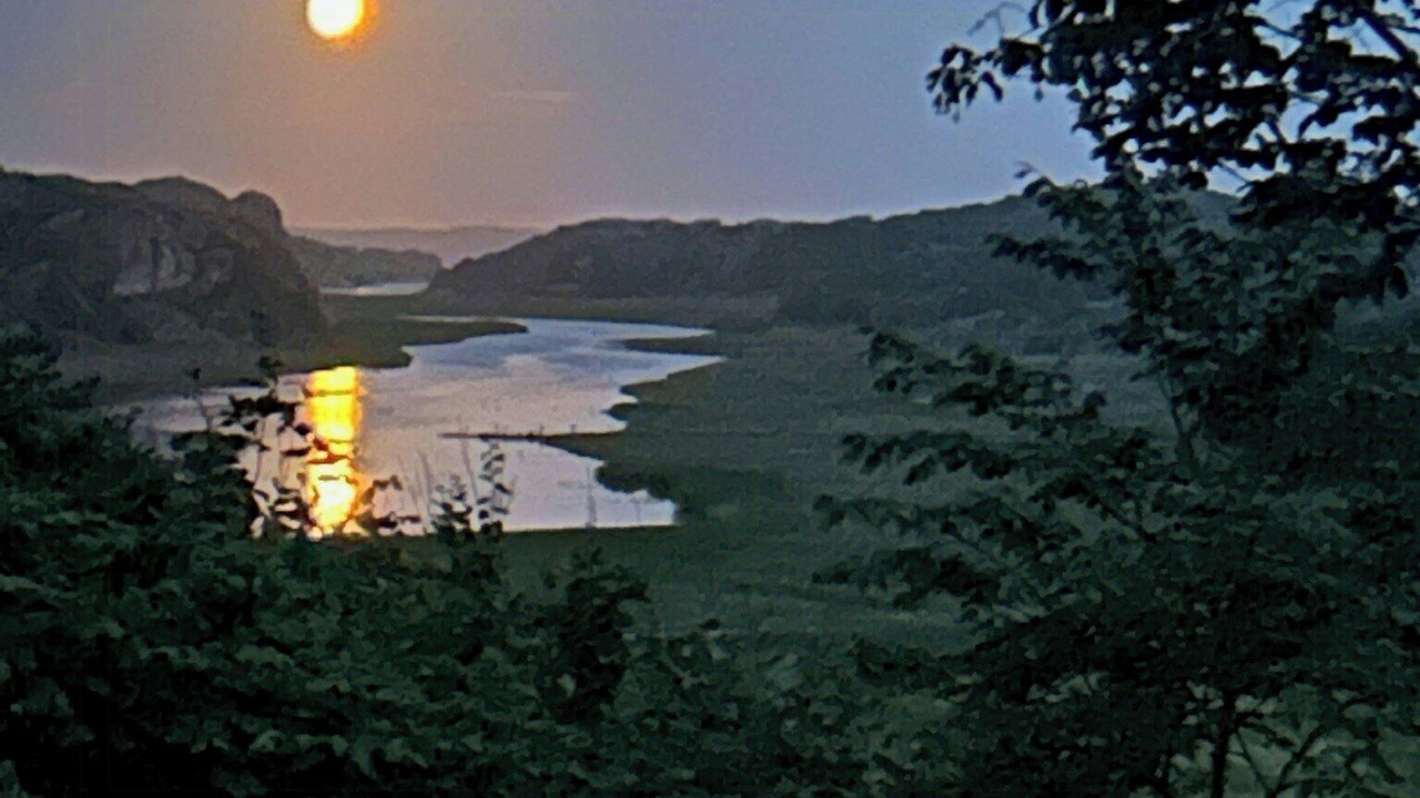 Photo of Others in Hamburgsund