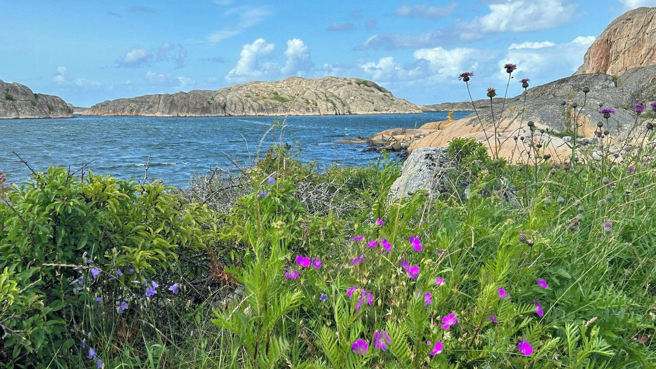 Photo of Others in Hamburgsund