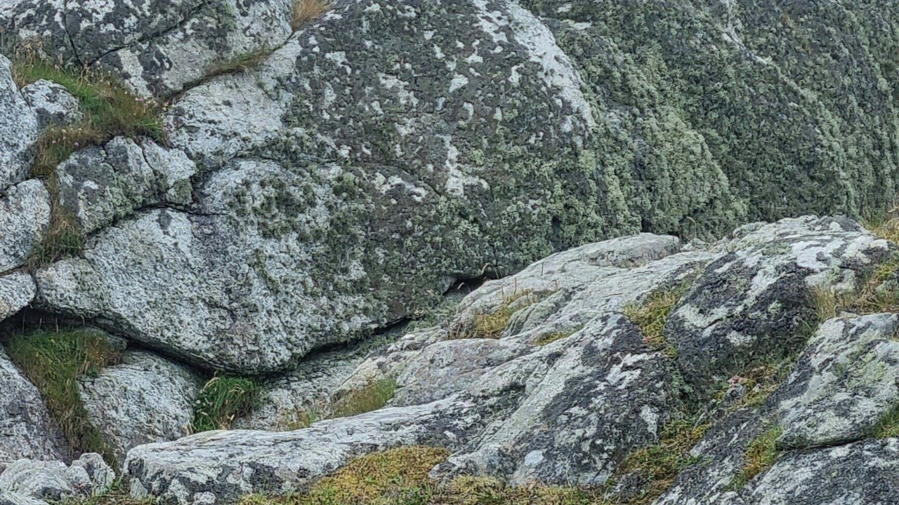 Photo of Others in Utsira