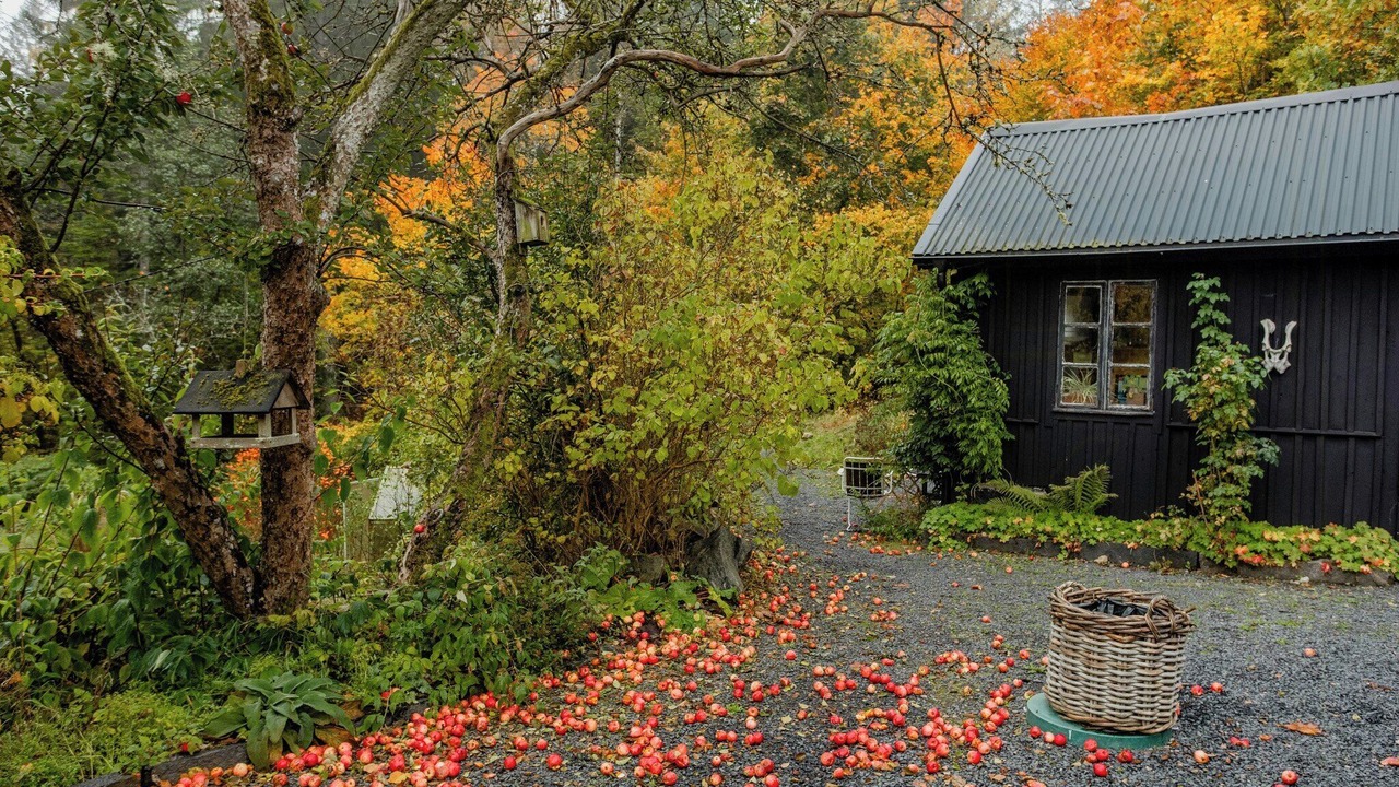 Photo of Outdoor in Lonsboda