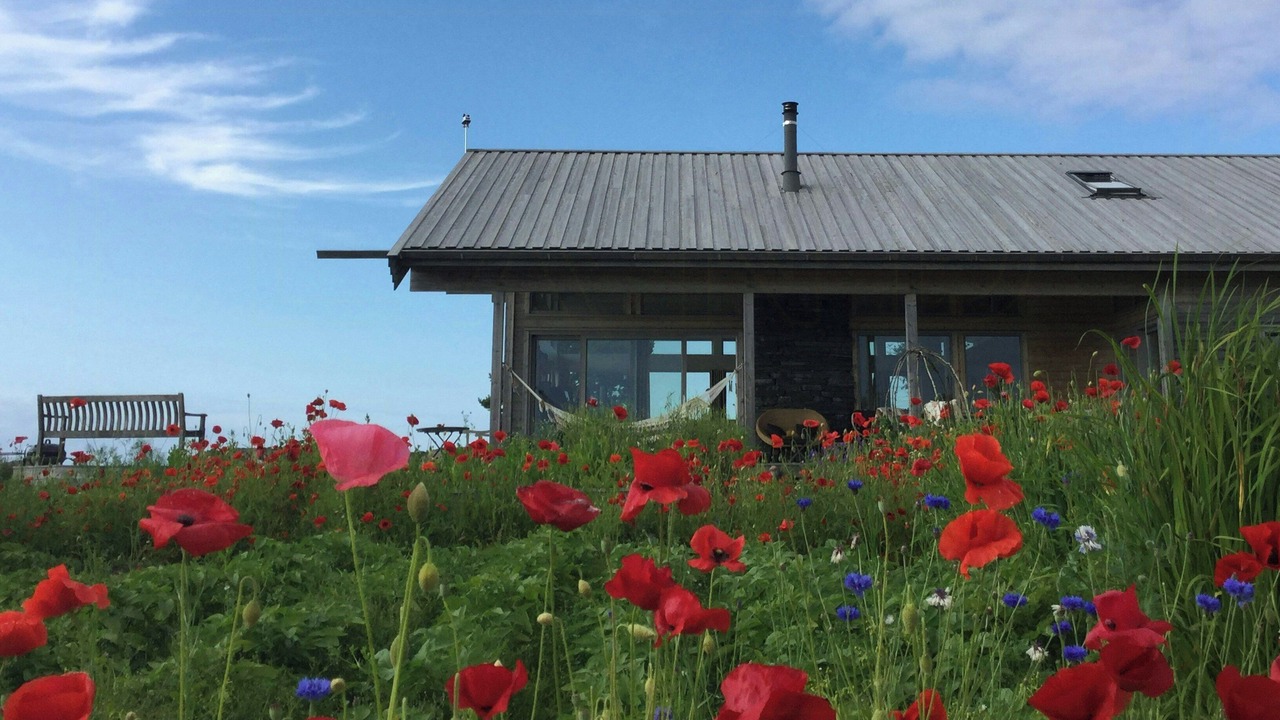 Photo of Outdoor in Bjugn