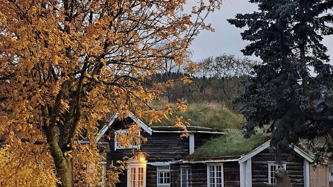 Photo of Outdoor in Tolga Municipality