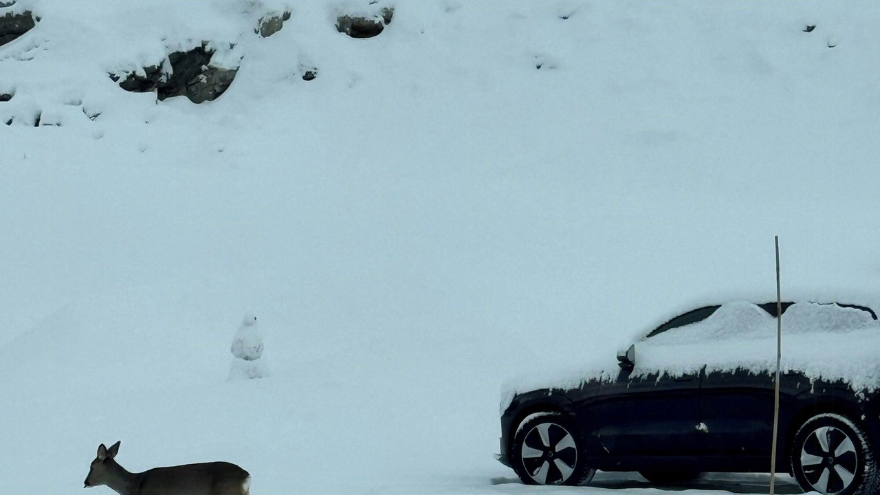 Photo of Others in Sirdal