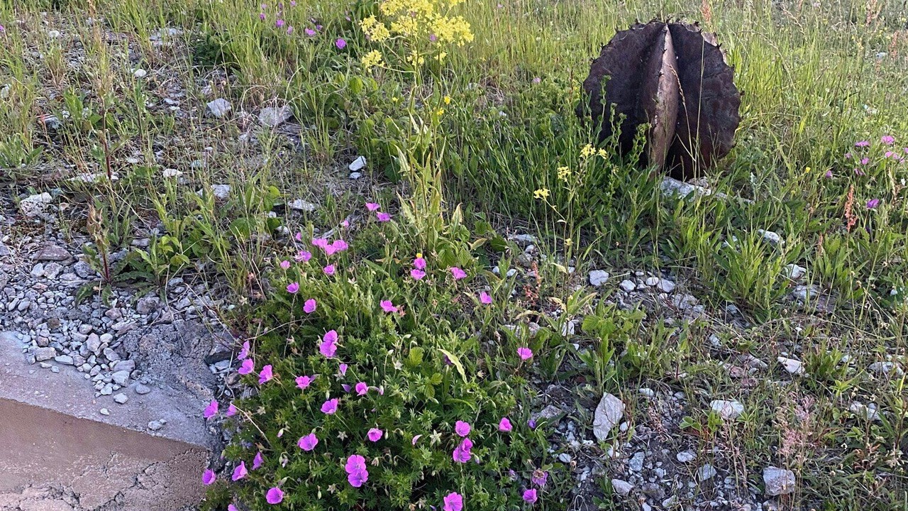 Photo of Outdoor in Farosund