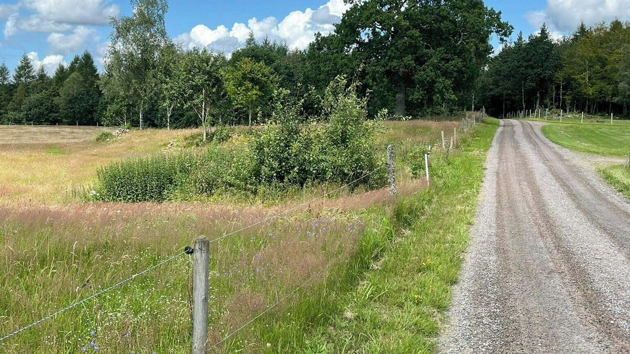 Photo of Others in Orkelljunga Municipality
