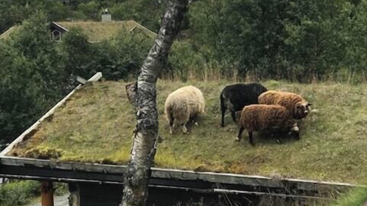 Photo of Outdoor in Tinn