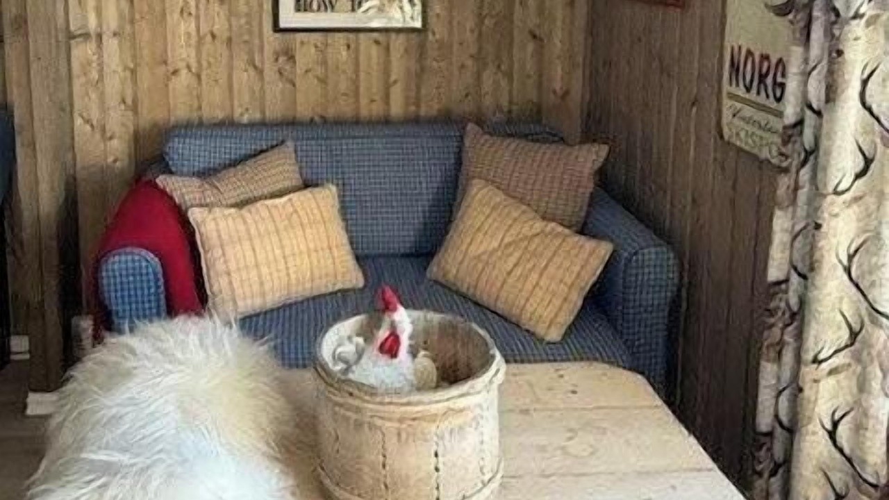 Photo of Livingroom in Trysil