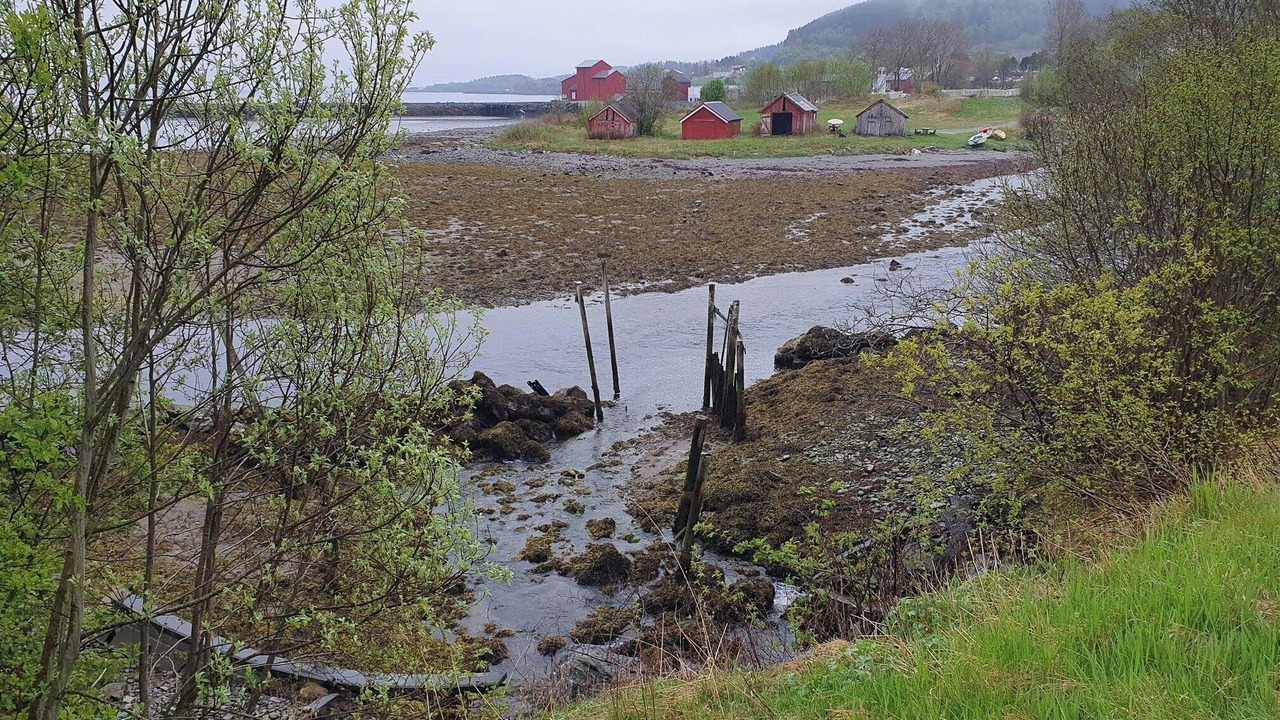 Photo of Others in Lensvik