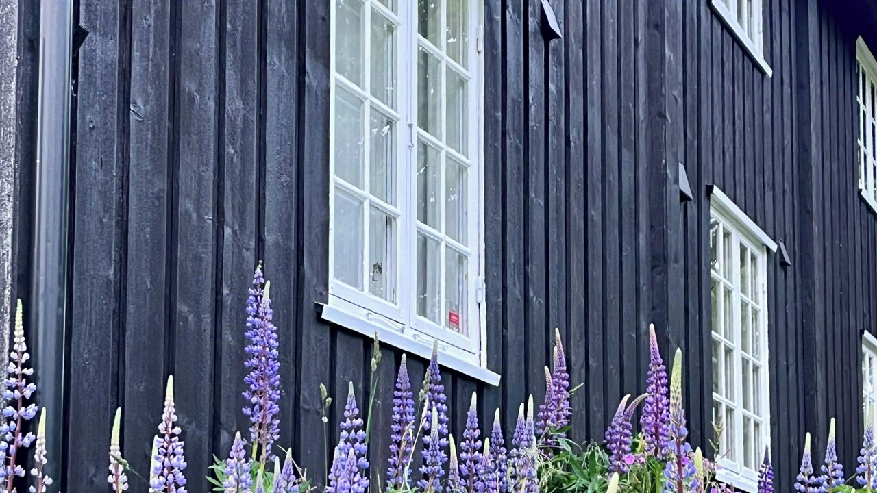 Photo of Outdoor in Voll