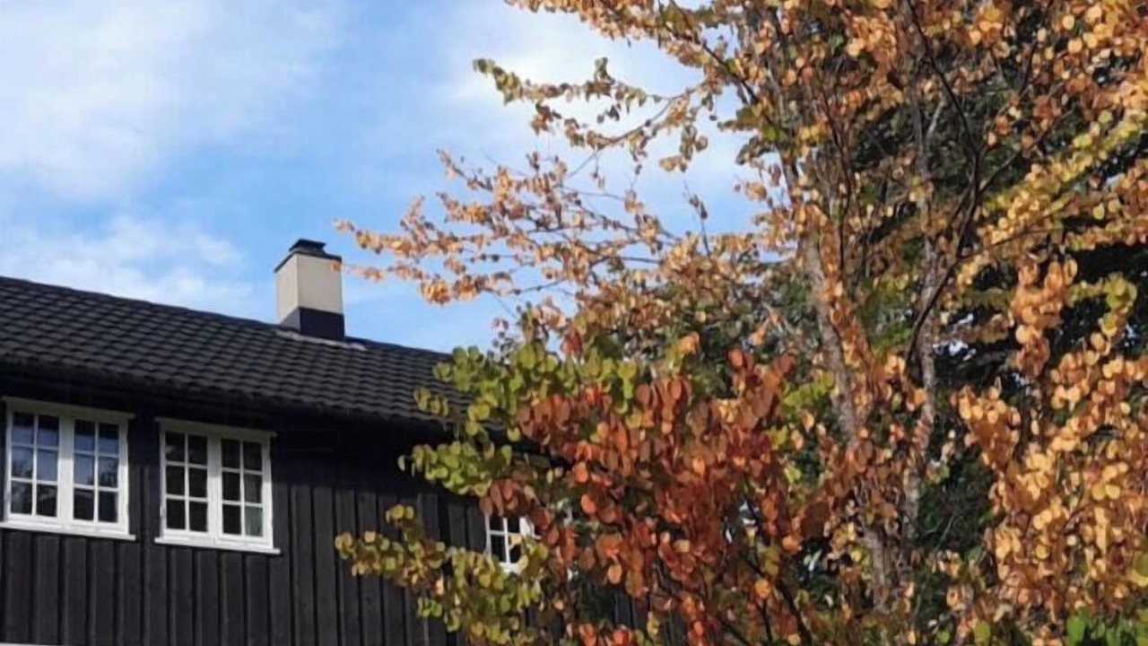 Photo of Outdoor in Voll