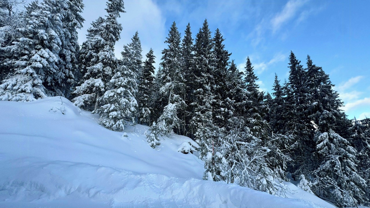 Photo of Others in Nordre Land