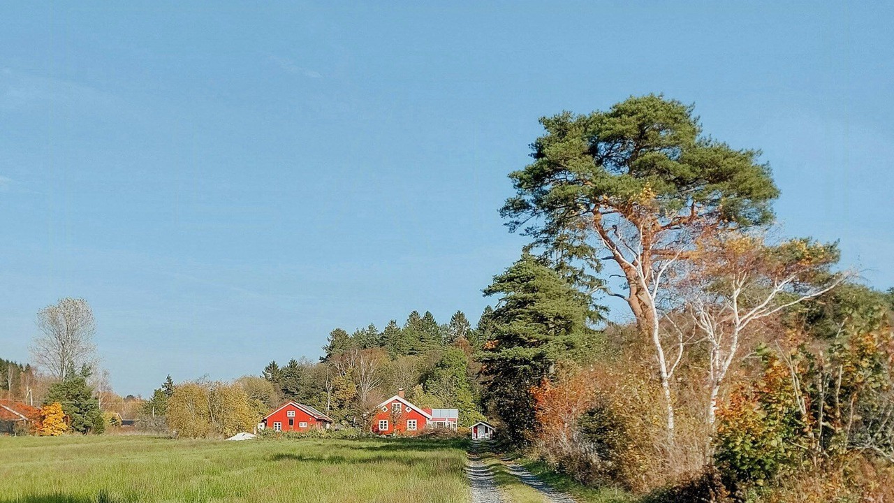 Photo of Others in Ytterby