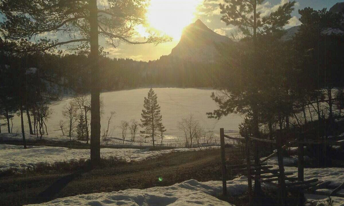 Photo of Others in Gaular Municipality
