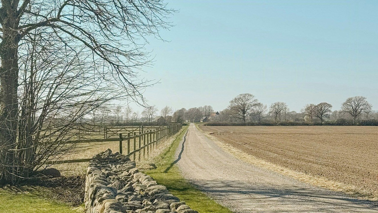 Photo of Others in Jonstorp