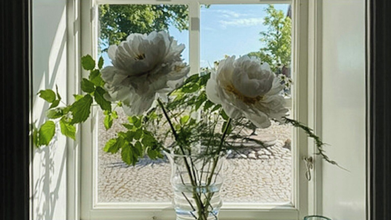 Photo of Others in Jonstorp