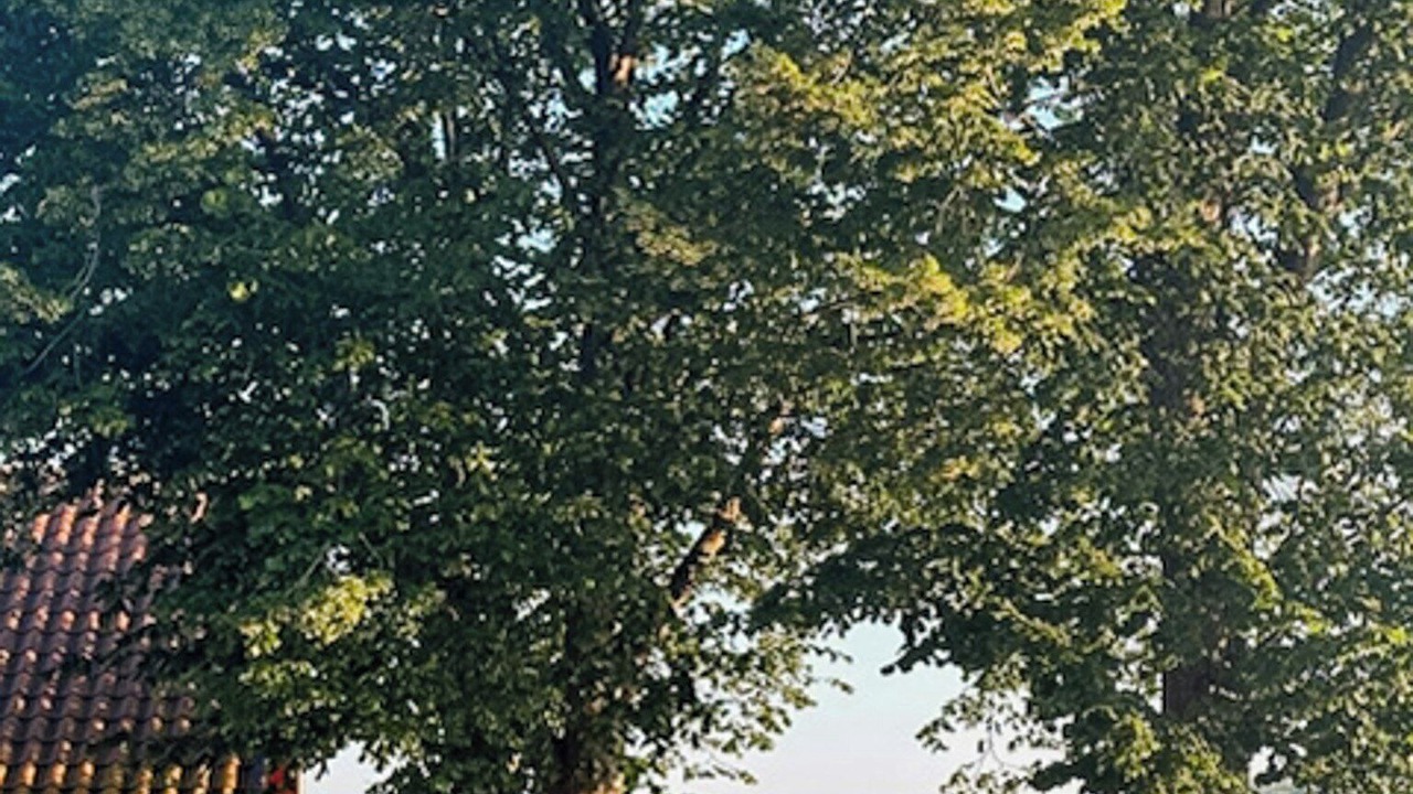 Photo of Outdoor in Jonstorp