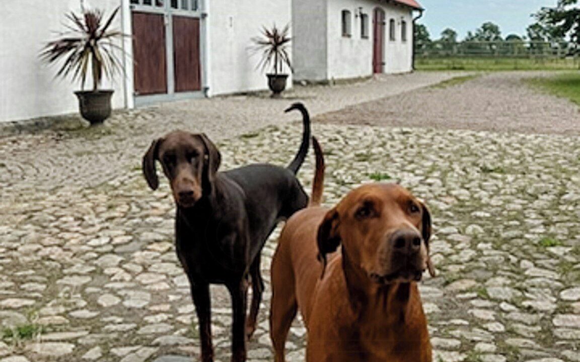 Photo of Outdoor in Jonstorp