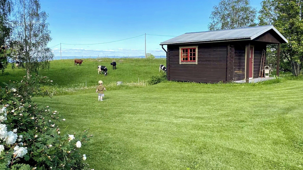 Photo of Outdoor in Hallen