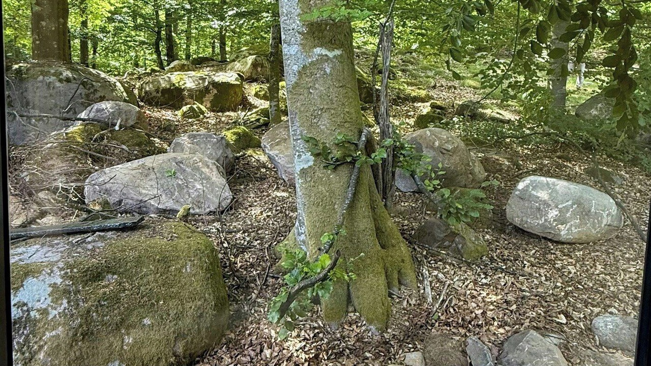 Photo of Others in Immeln