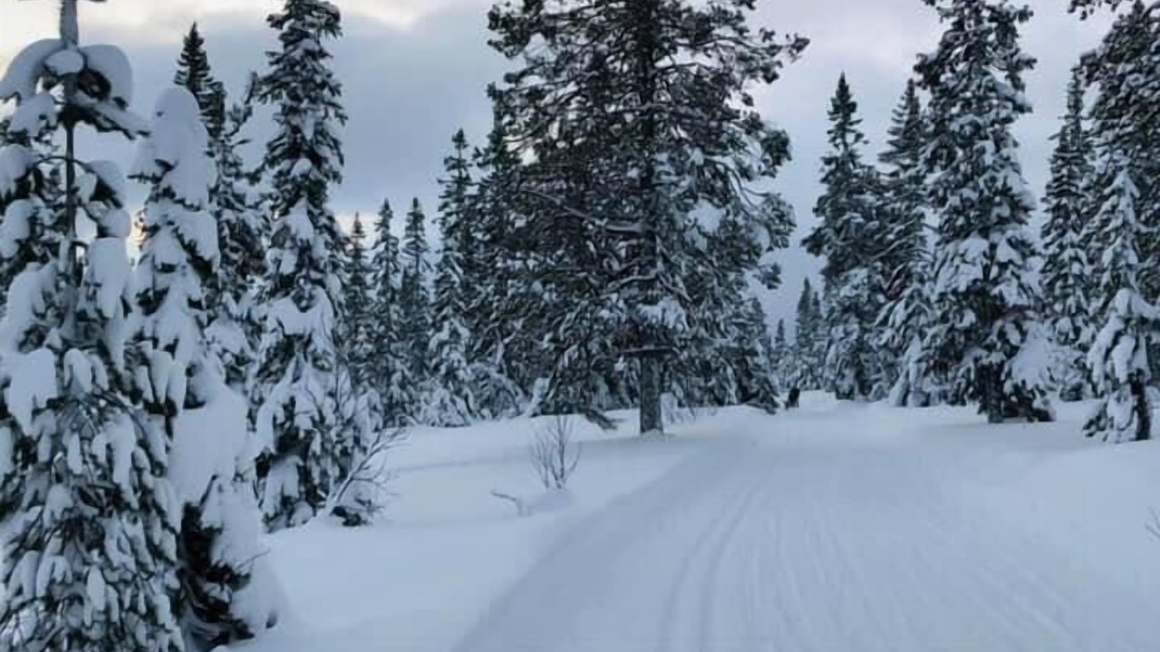 Photo of Others in Trysil