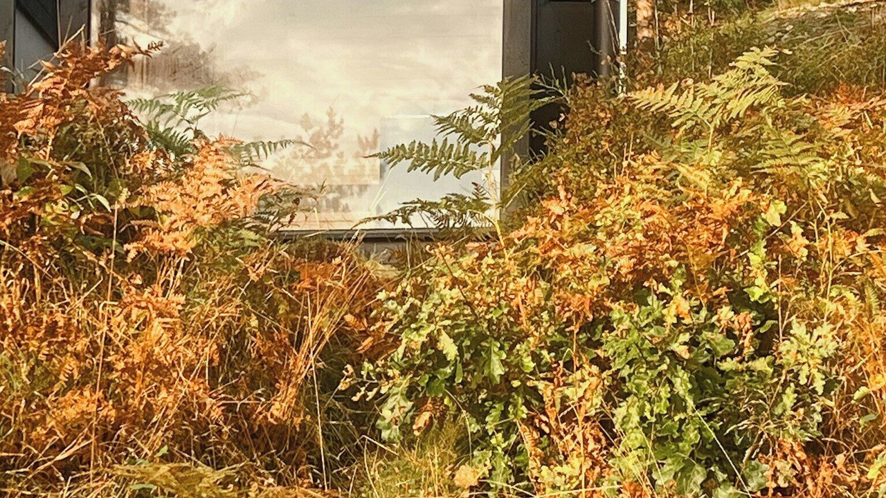 Photo of Outdoor in Olofstorp