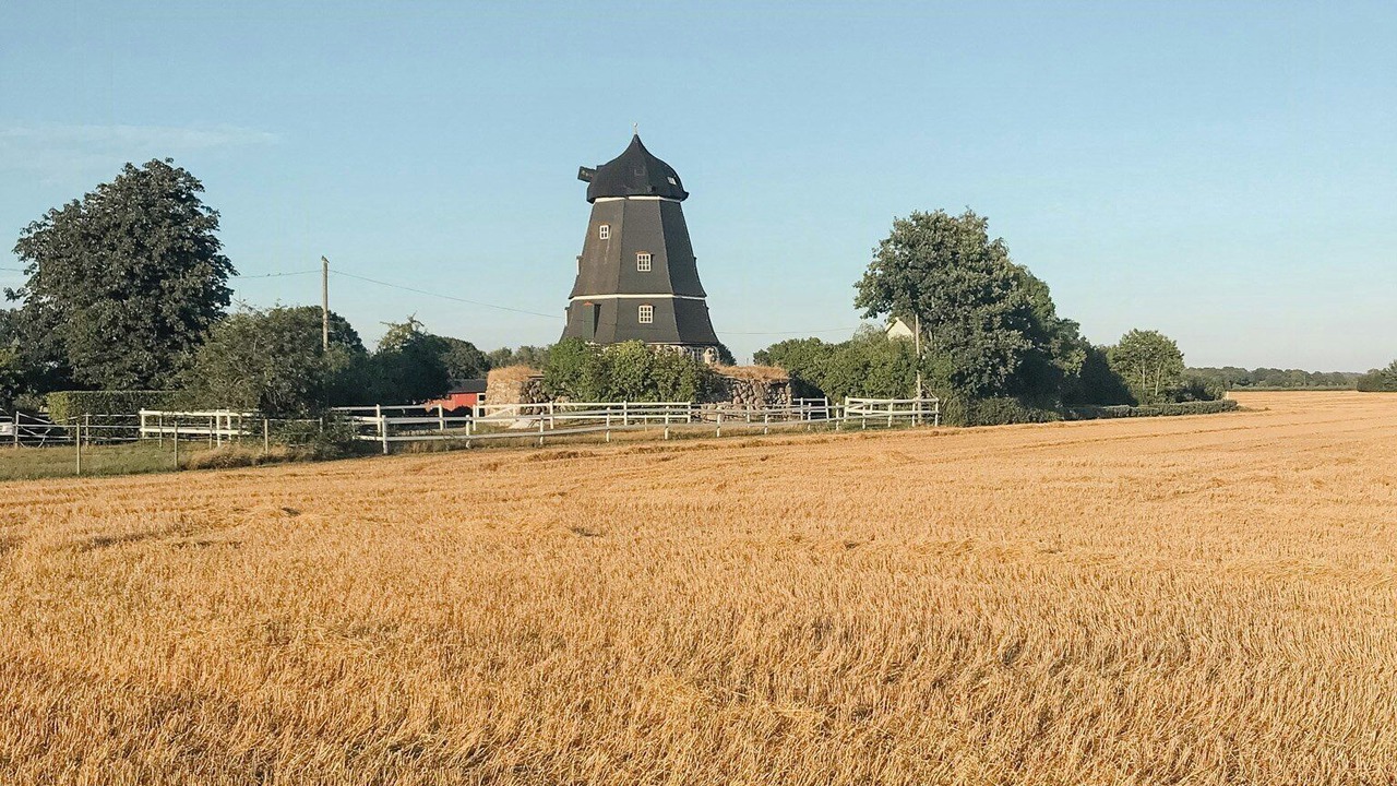 Photo of Others in Angelholm