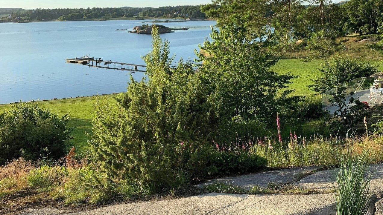 Photo of Others in Larvik