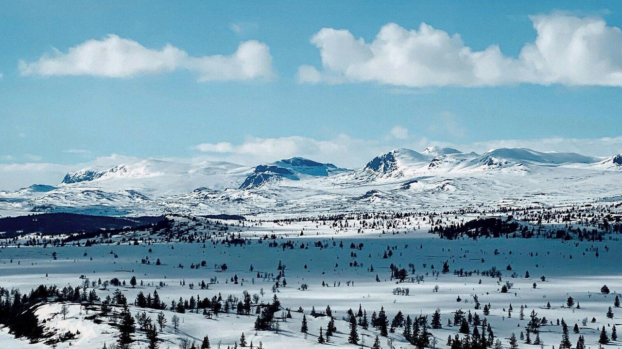 Photo of Others in Gol Municipality
